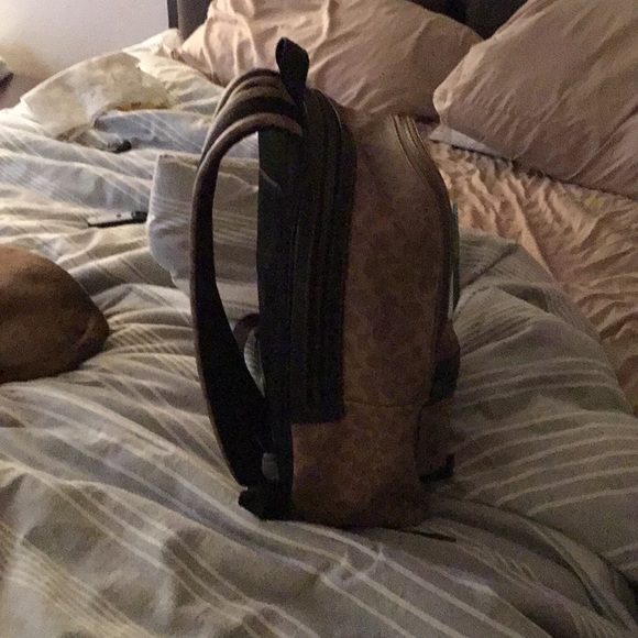 Meet your Posher, Christopher - Picture 3 of 5